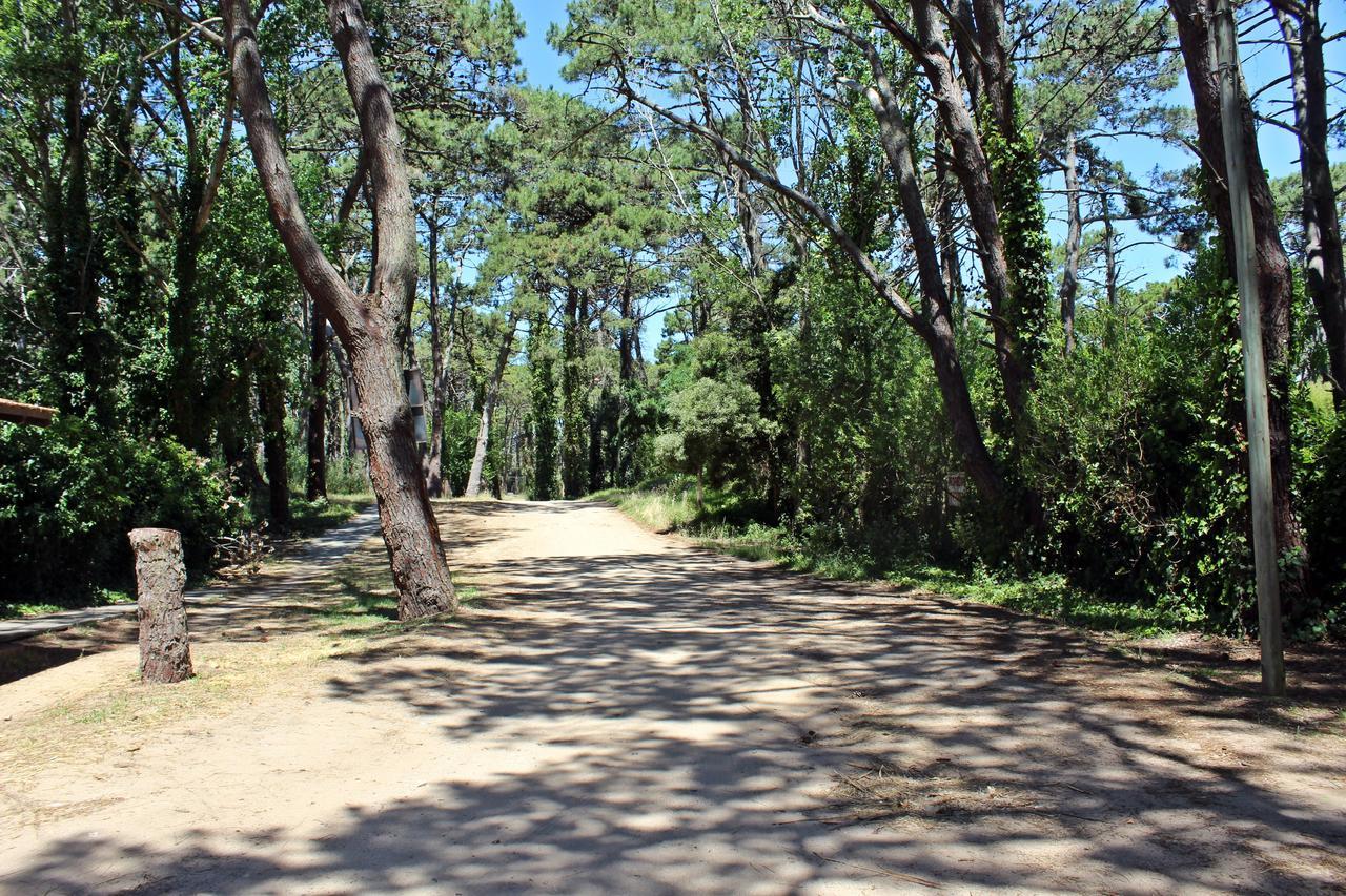 Хостел Ramma Camping Вилья-Хесель Экстерьер фото